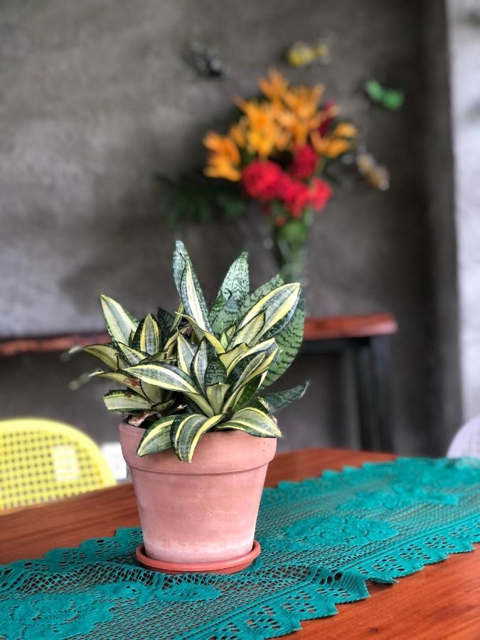 Holiday home Casa Boutique Maraca Privativa *