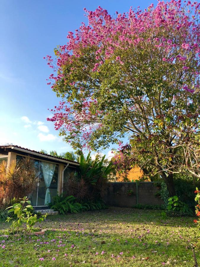 Casa Boutique Maraca Privativa Holiday home Porto de Galinhas