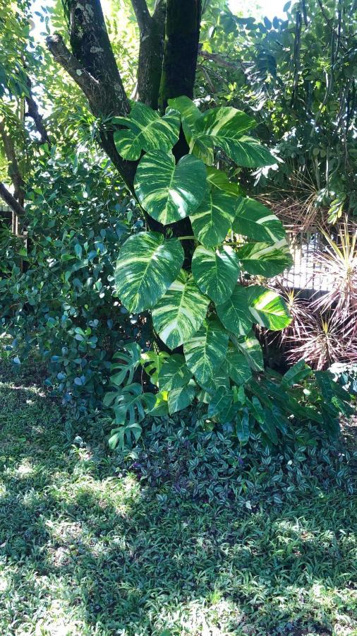 Holiday home Casa Boutique Maraca Privativa *