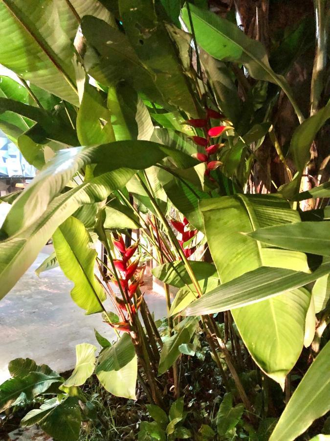 Holiday home Casa Boutique Maraca Privativa Porto de Galinhas